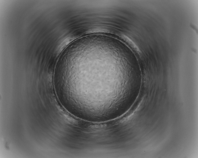 X0000099230937200805011134