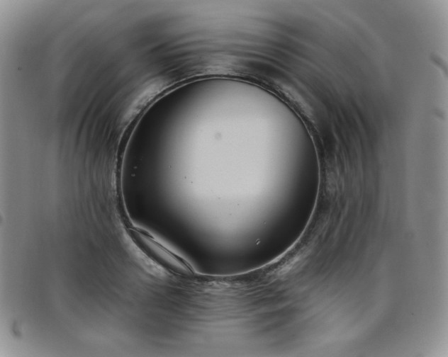 X0000099230938200805011134