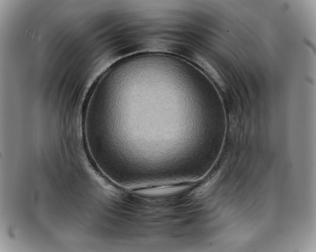 X0000099230939200805011134