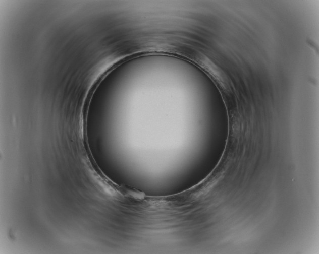 X0000099230940200805011134