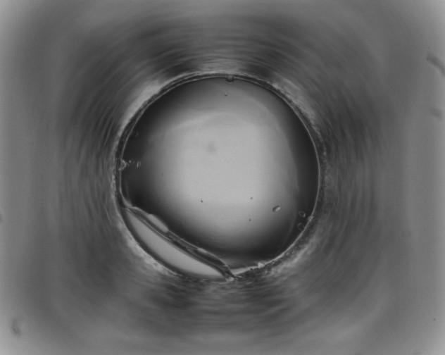 X0000099230941200805011134