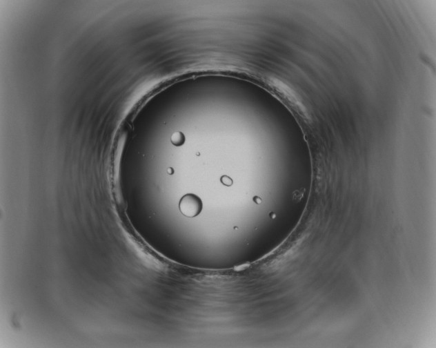 X0000099230942200805011134