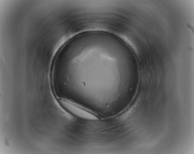 X0000099230943200805011134