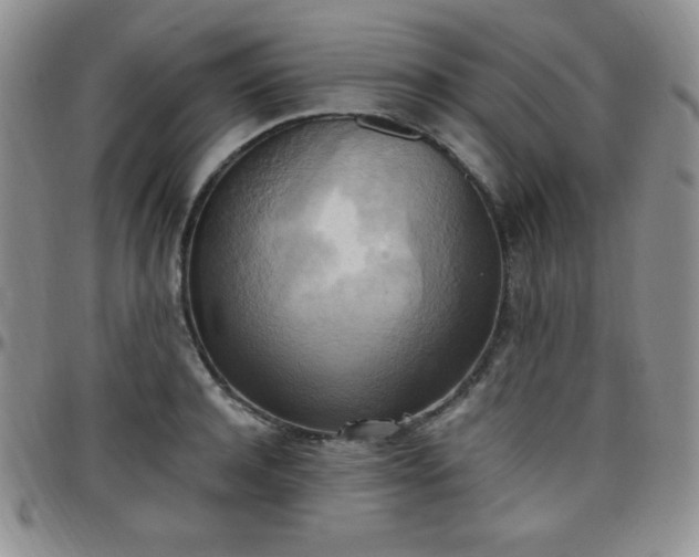 X0000099230944200805011134