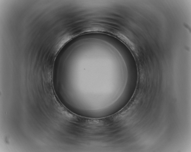 X0000099230945200805011134