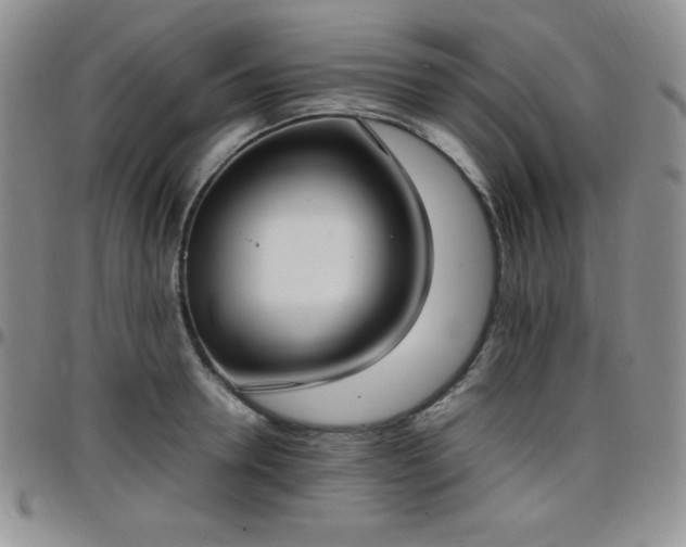 X0000099230946200805011134