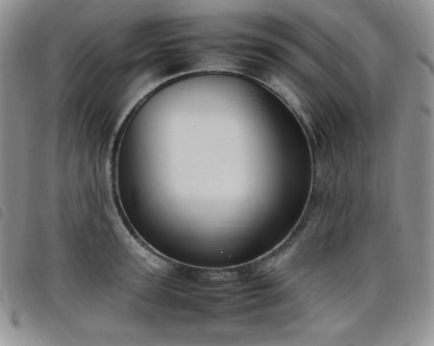 X0000099230947200805011134