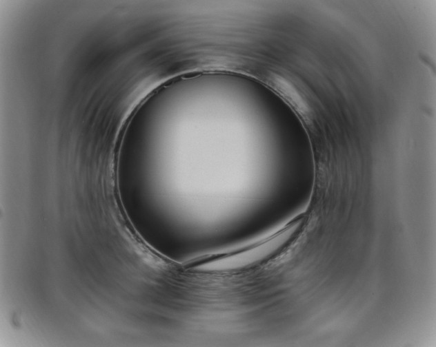 X0000099230948200805011134