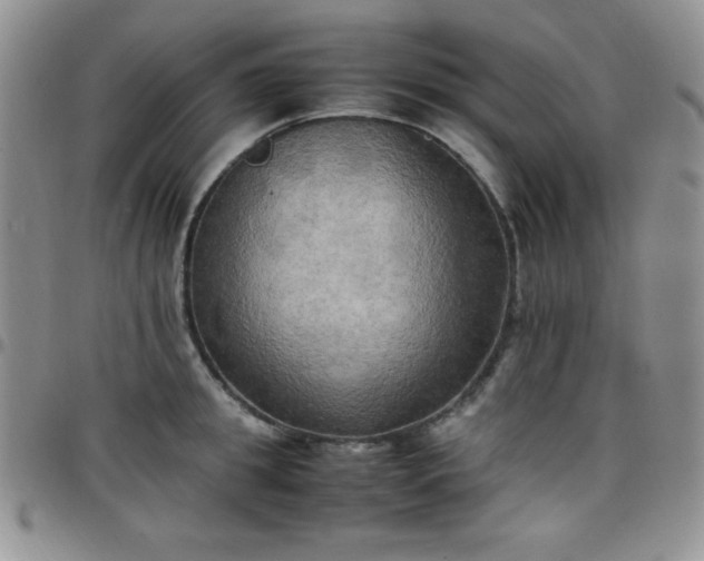 X0000099230949200805011134