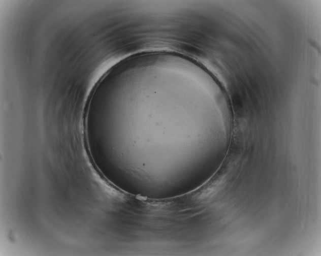 X0000099230951200805011134