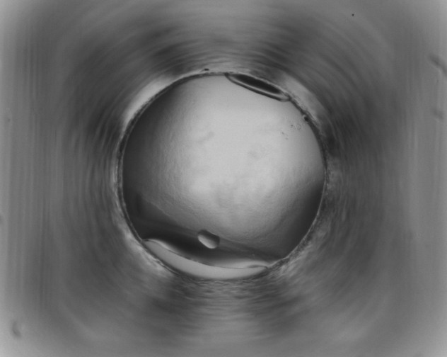 X0000099230952200805011134