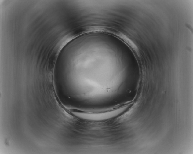 X0000099230953200805011134