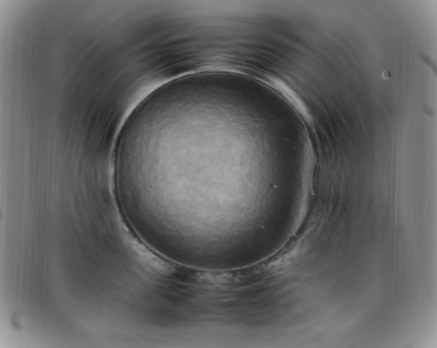 X0000099230955200805011134