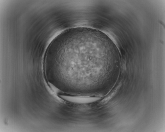 X0000099230957200805011134