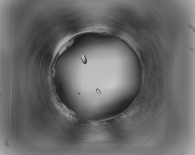 X0000099230960200805011134