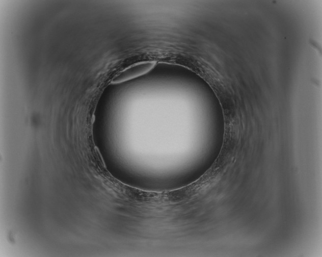 X0000099230961200805011133