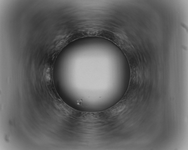 X0000099230962200805011133