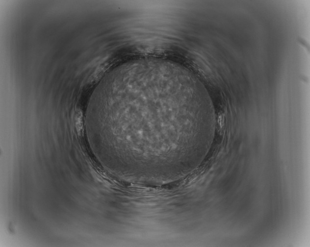 X0000099230963200805011133