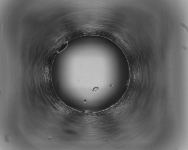 X0000099230964200805011133