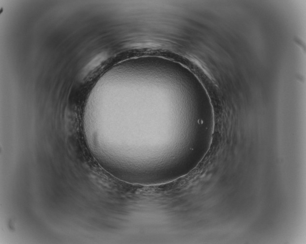 X0000099230967200805011133