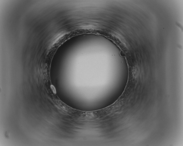 X0000099230968200805011133