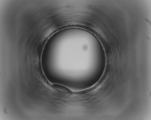 X0000099230969200805011133