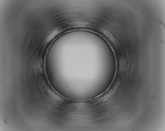 X0000099230970200805011133