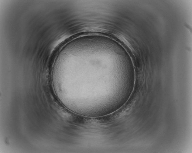 X0000099230971200805011133