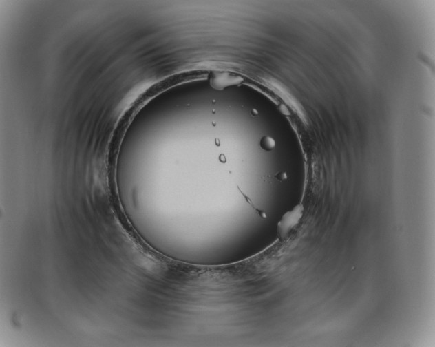 X0000099230972200805011133