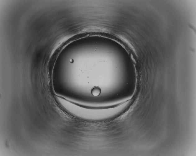 X0000099230973200805011133