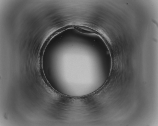 X0000099230976200805011133