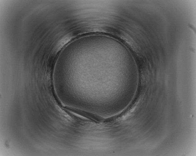 X0000099230977200805011133