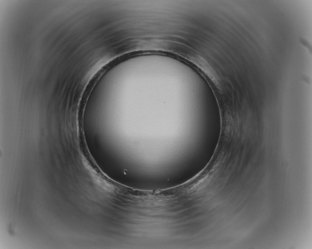 X0000099230980200805011133