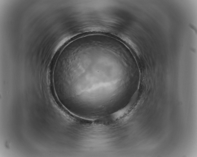 X0000099230983200805011133