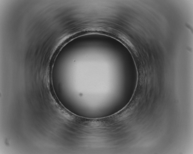 X0000099230984200805011133