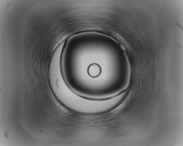 X0000099230985200805011133