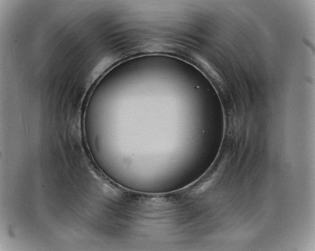 X0000099230986200805011133