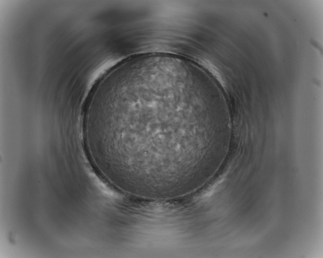 X0000099230987200805011133