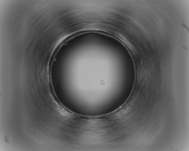 X0000099230988200805011133