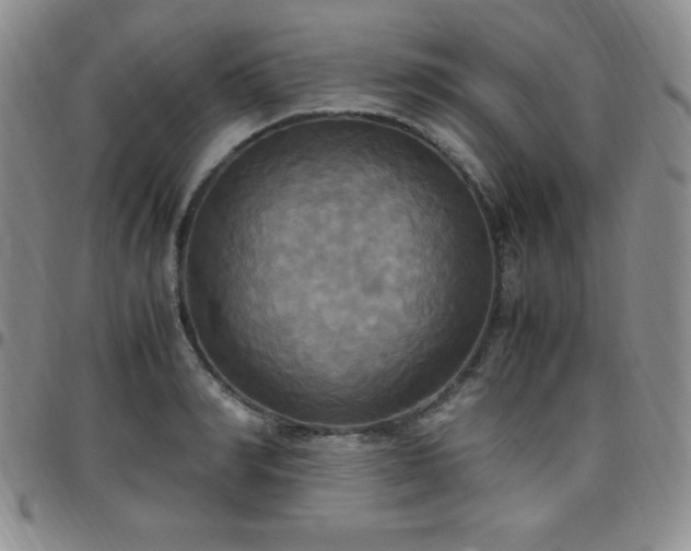 X0000099230990200805011133