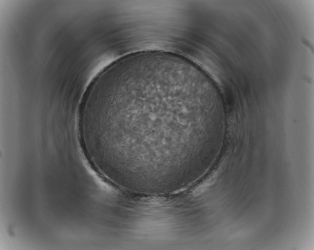 X0000099230991200805011133