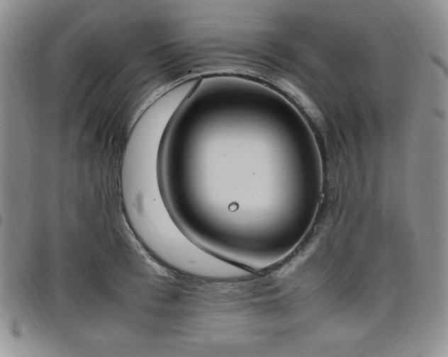 X0000099230993200805011133