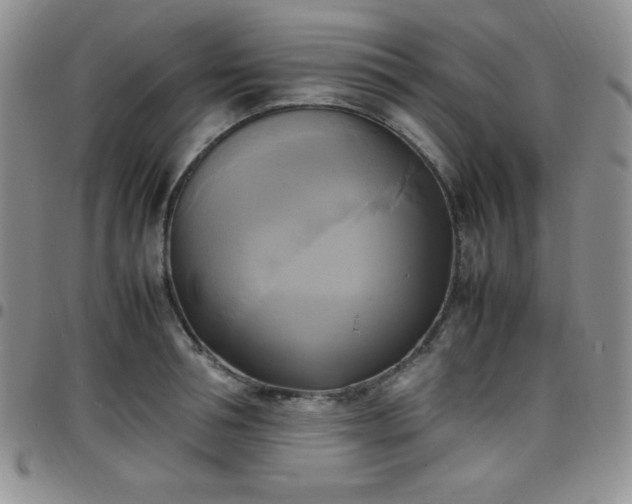 X0000099230994200805011133