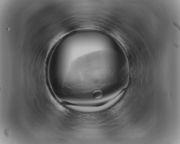 X0000099230995200805011133