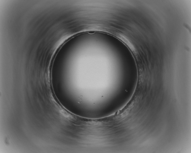 X0000099230996200805011133