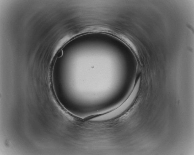 X0000099230997200805011133