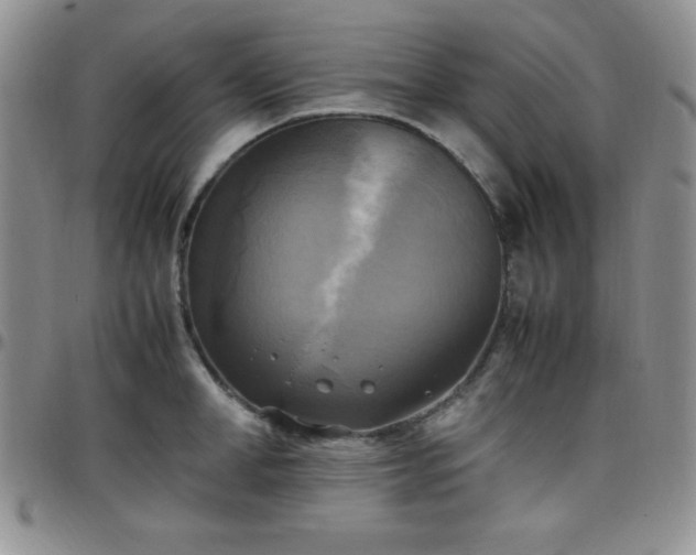 X0000099230998200805011133