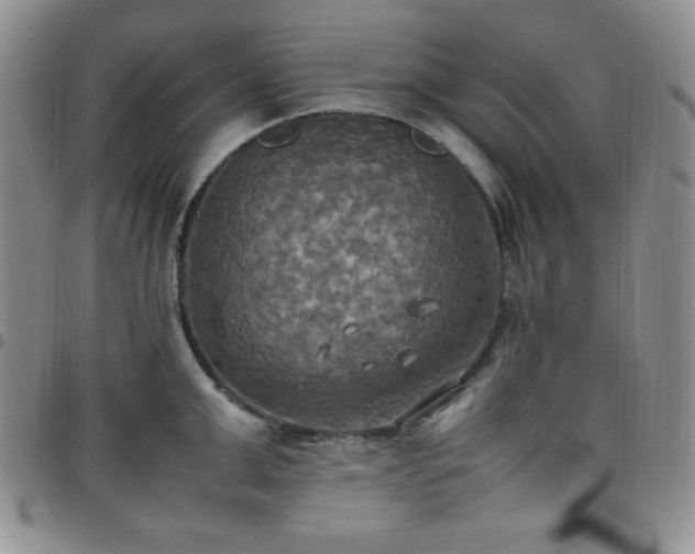 X0000099230999200805011133