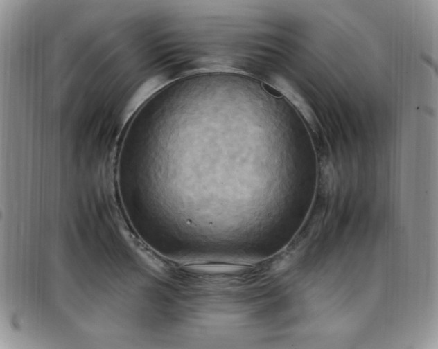 X0000099231002200805011133