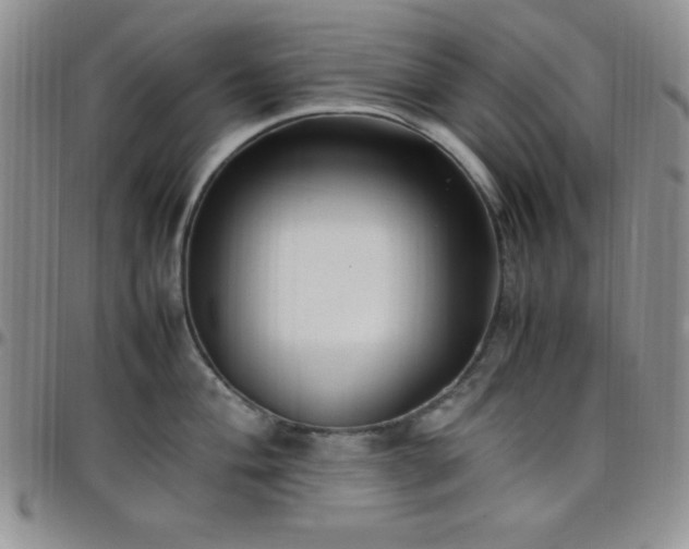 X0000099231004200805011133